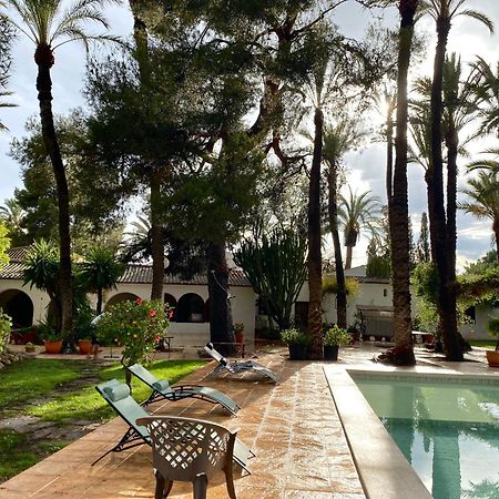 Pink Lemon House Bed & Breakfast Elche Ngoại thất bức ảnh