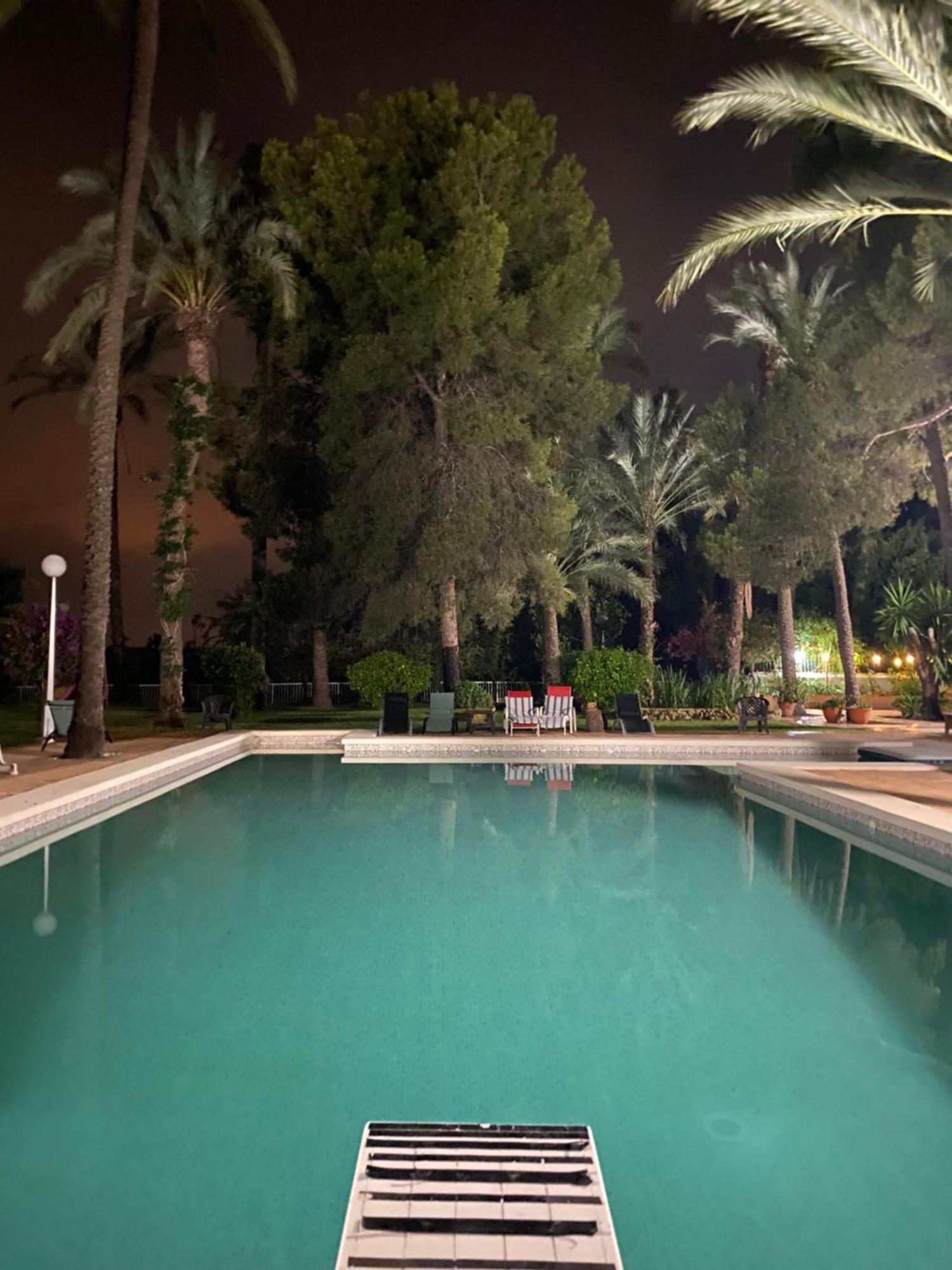 Pink Lemon House Bed & Breakfast Elche Ngoại thất bức ảnh