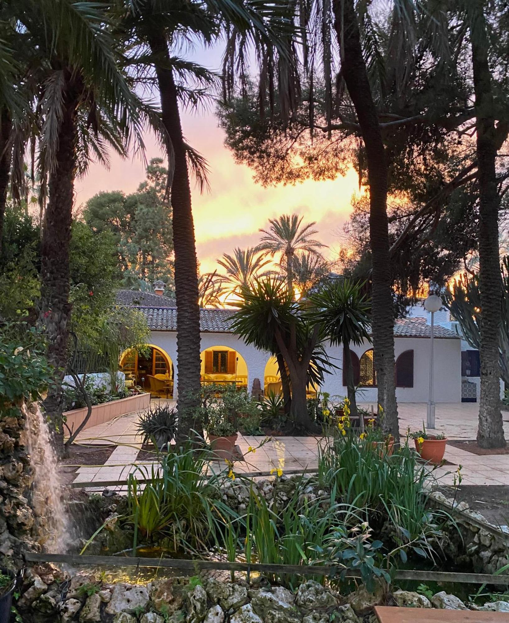 Pink Lemon House Bed & Breakfast Elche Ngoại thất bức ảnh