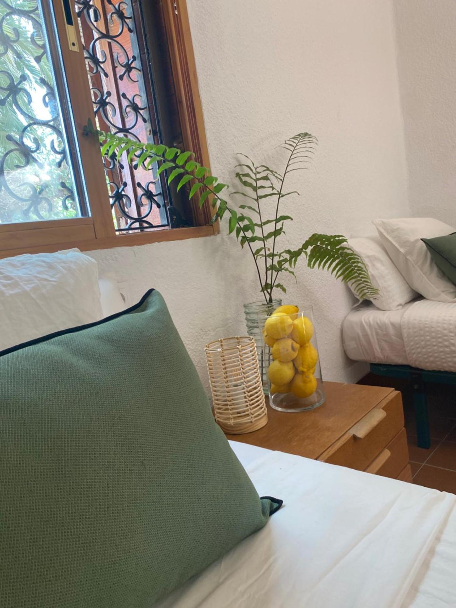 Pink Lemon House Bed & Breakfast Elche Ngoại thất bức ảnh