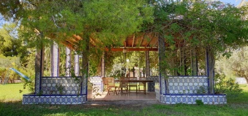 Pink Lemon House Bed & Breakfast Elche Ngoại thất bức ảnh