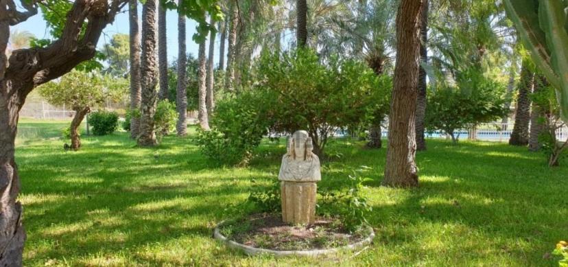 Pink Lemon House Bed & Breakfast Elche Ngoại thất bức ảnh