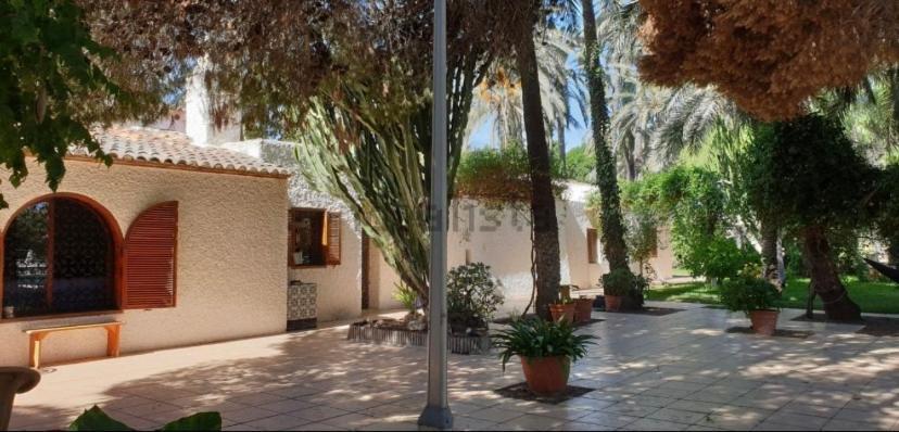 Pink Lemon House Bed & Breakfast Elche Ngoại thất bức ảnh