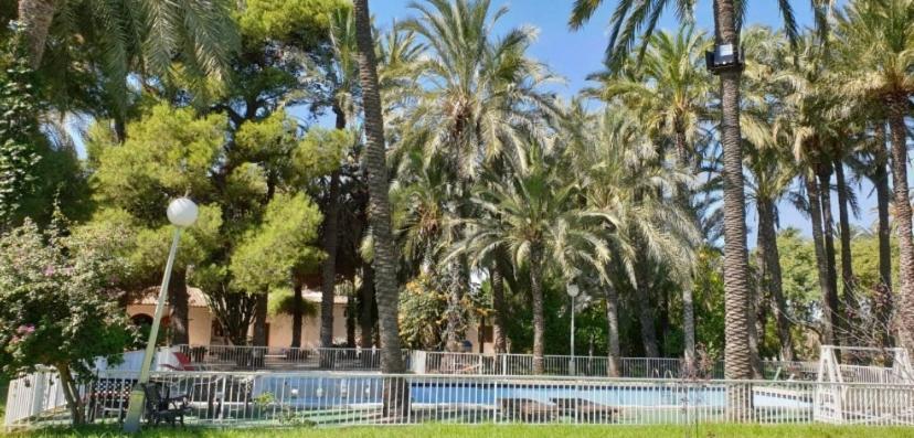 Pink Lemon House Bed & Breakfast Elche Ngoại thất bức ảnh