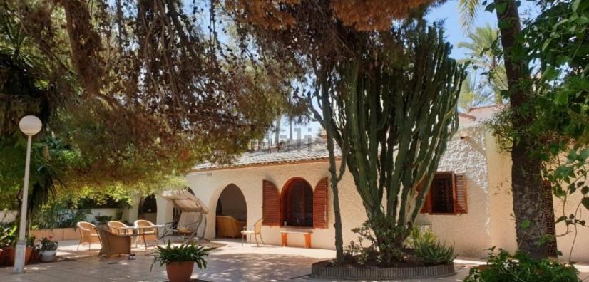 Pink Lemon House Bed & Breakfast Elche Ngoại thất bức ảnh