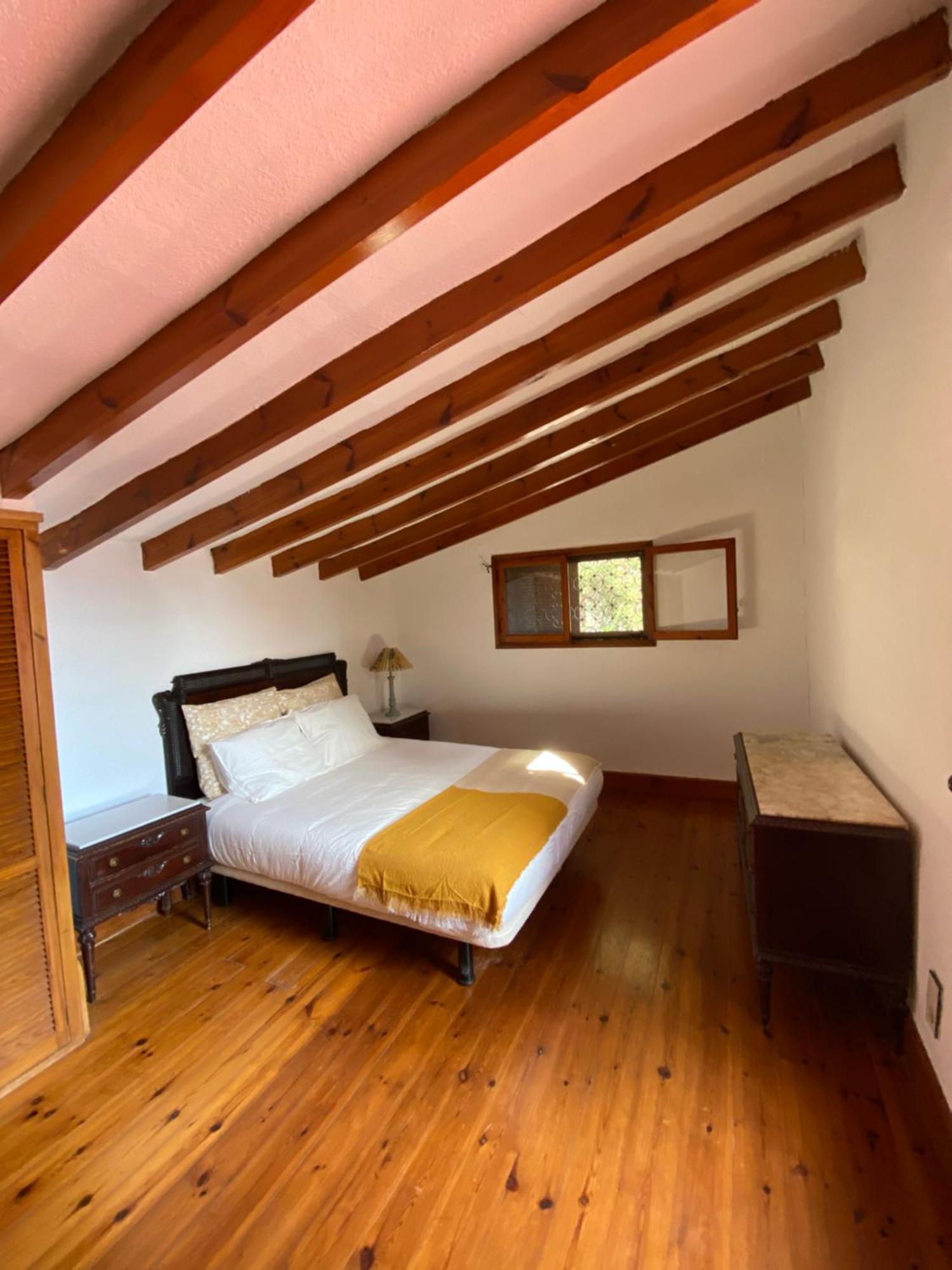 Pink Lemon House Bed & Breakfast Elche Ngoại thất bức ảnh